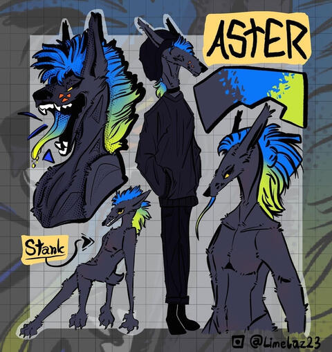 Reference sheet 40€ (includes at least one fullbody, headshot and detail shots)